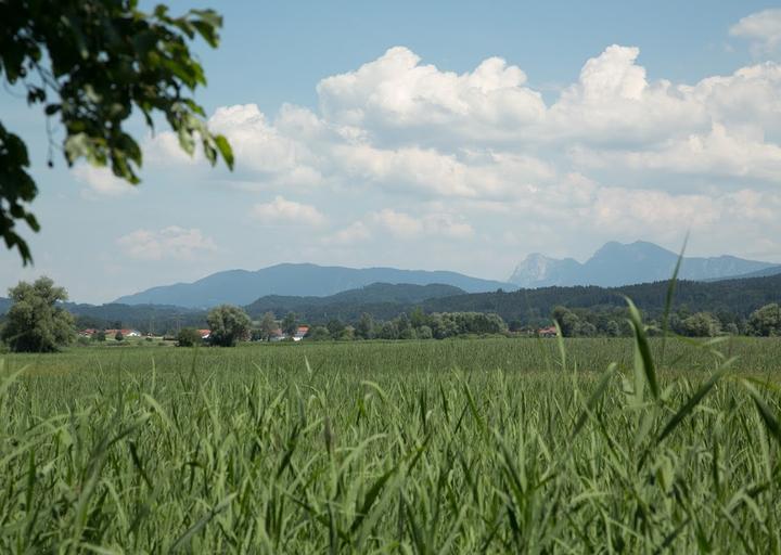 Wirtshaus zur Hirschauer Bucht